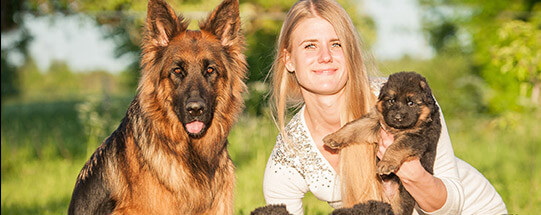 Pet and Owners Pet and Owners